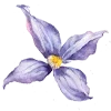 🪷 Эмодзи «Flowers Aesthetics» для Telegram