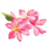 🌷 Эмодзи «Flowers Aesthetics» для Telegram