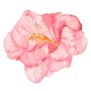 🌸 Эмодзи «Flowers Aesthetics» для Telegram