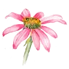 🌷 Эмодзи «Flowers Aesthetics» для Telegram