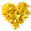 💛 Эмодзи «Flowers Aesthetics» для Telegram