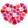 ❤️ Эмодзи «Flowers Aesthetics» для Telegram