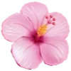 🌸 Эмодзи «Flowers Aesthetics» для Telegram
