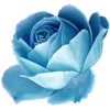 🌹 Эмодзи «Flowers Aesthetics» для Telegram