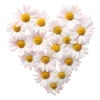 🩷 Эмодзи «Flowers Aesthetics» для Telegram