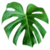 🍃 Эмодзи «Flowers Aesthetics» для Telegram