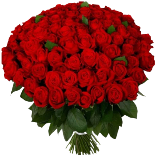 💐 Стикер «Цветы • Flowers» для Telegram