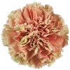 💐 Эмодзи «Flowers» для Telegram