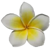 💐 Эмодзи «Flowers» для Telegram
