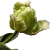 💐 Эмодзи «Flowers» для Telegram