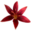 💐 Эмодзи «Flowers» для Telegram