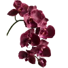💐 Эмодзи «Flowers» для Telegram