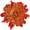💐 Эмодзи «Flowers» для Telegram