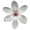 💐 Эмодзи «Flowers» для Telegram