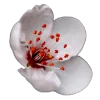 💐 Эмодзи «Flowers» для Telegram