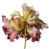💐 Эмодзи «Flowers» для Telegram