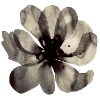 💐 Эмодзи «Flowers» для Telegram