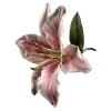 💐 Эмодзи «Flowers» для Telegram