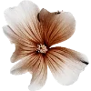 Эмодзи Flowers для Telegram — скачать