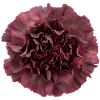 💐 Эмодзи «Flowers» для Telegram