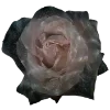 💐 Эмодзи «Flowers» для Telegram