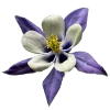 💐 Эмодзи «Flowers» для Telegram