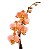 💐 Эмодзи «Flowers» для Telegram