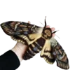 🦋 Эмодзи «Moths» для Telegram