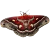 🦋 Эмодзи «Moths» для Telegram