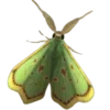 🦋 Эмодзи «Moths» для Telegram