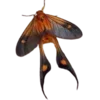 🦋 Эмодзи «Moths» для Telegram