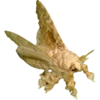 🦋 Эмодзи «Moths» для Telegram