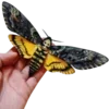 🦋 Эмодзи «Moths» для Telegram
