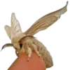 🦋 Эмодзи «Moths» для Telegram