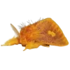 🦋 Эмодзи «Moths» для Telegram