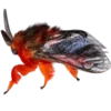 🦋 Эмодзи «Moths» для Telegram