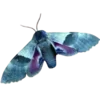 🦋 Эмодзи «Moths» для Telegram