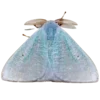 🦋 Эмодзи «Moths» для Telegram