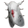 🦋 Эмодзи «Moths» для Telegram