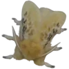 🦋 Эмодзи «Moths» для Telegram