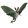 🦋 Эмодзи «Moths» для Telegram
