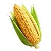 🌽 Эмодзи «🍊 Нутрициолог-пак» для Telegram