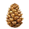 🌰 Эмодзи «🍊 Нутрициолог-пак» для Telegram