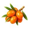 🍒 Эмодзи «🍊 Нутрициолог-пак» для Telegram