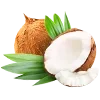 🥥 Эмодзи «🍊 Нутрициолог-пак» для Telegram