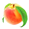 Стикерпак 🍊 Нутрициолог-пак для Telegram