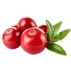🍒 Эмодзи «🍊 Нутрициолог-пак» для Telegram