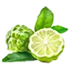 🍋‍🟩 Эмодзи «🍊 Нутрициолог-пак» для Telegram