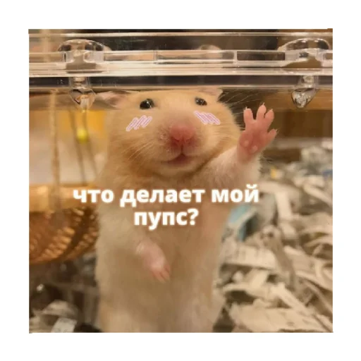 👀 Стикер «For every occasion 4» для Telegram