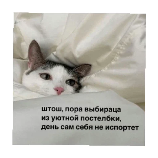 😔 Стикер «For every occasion 4» для Telegram